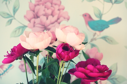 Le talent (et la photo) c'est Louise.