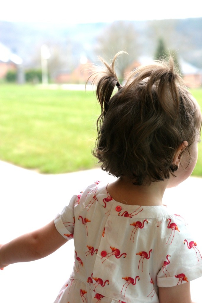 La jolie robe à flamants roses vient de chez Zara :-)