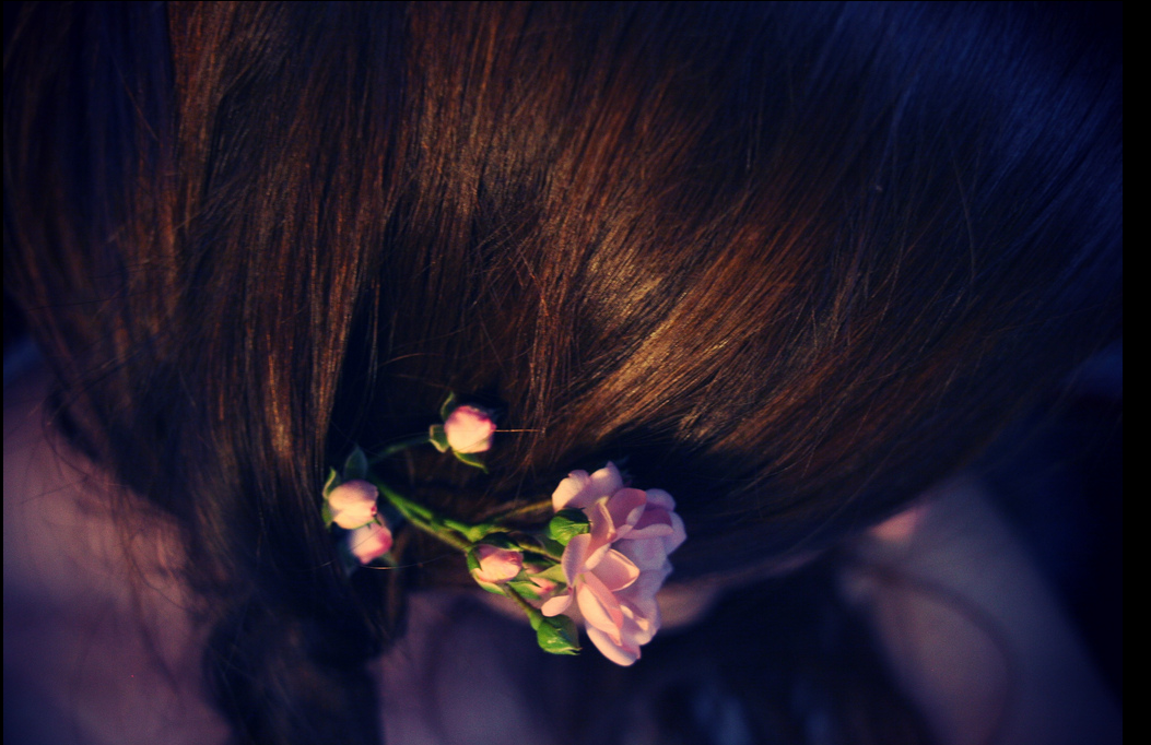 les fleurs dans les cheveux de Louise ♥