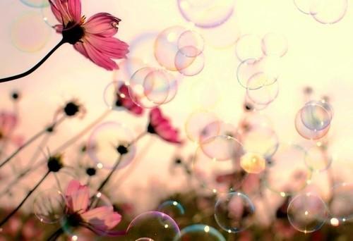 tumblr_namc7ohgD01rshdjvo1_500