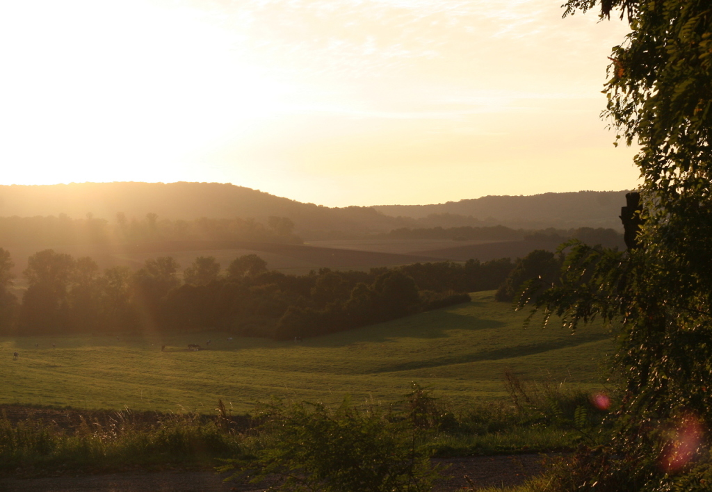 Derniers rayons de mardi
