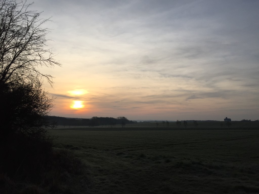 Petit matin frais du 8 avril 2015