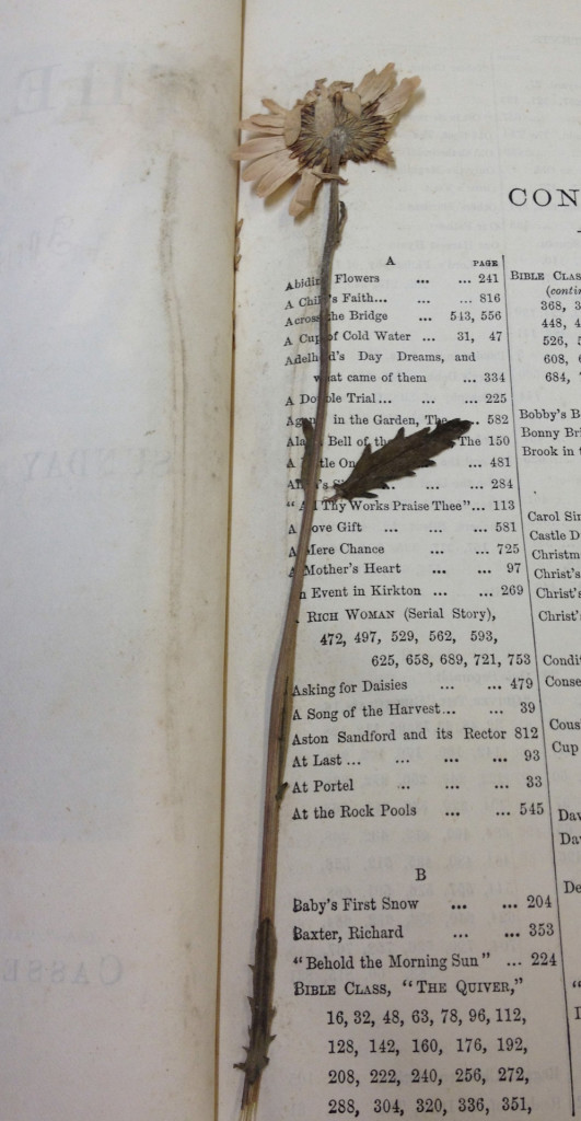 tumblr_moorlpn5UI1s538hbo1_1280