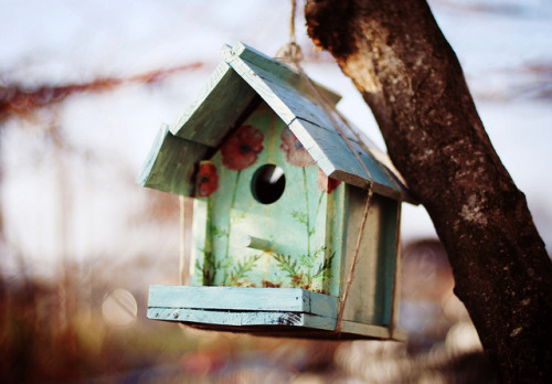 tumblr_ne9zehn83r1qhavevo1_500