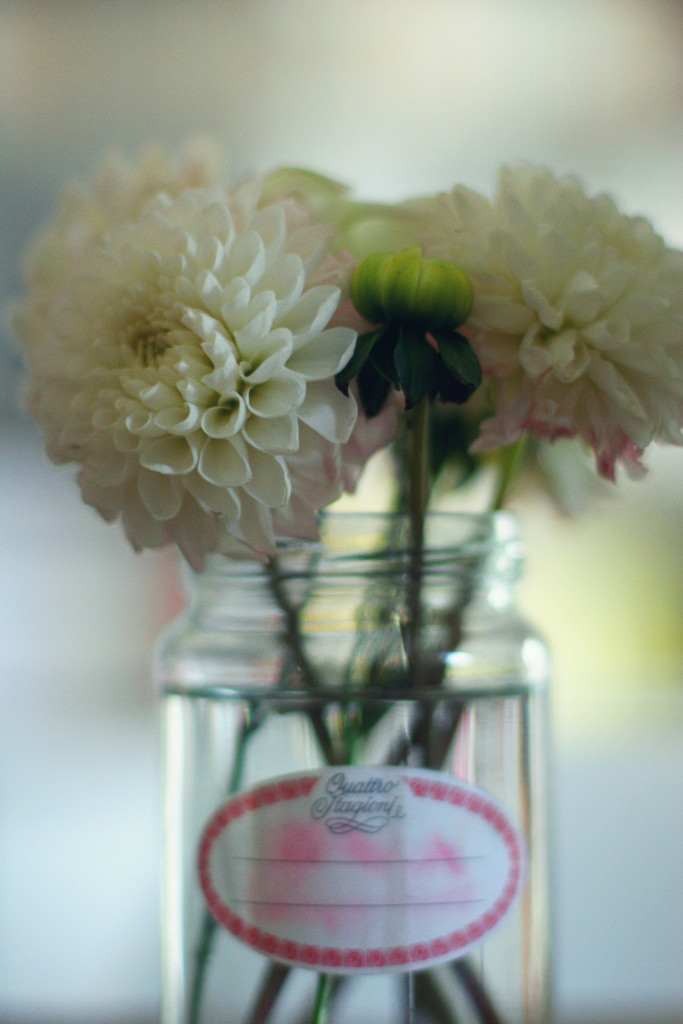 tumblr_ndbzvkmzJU1rkgii2o1_1280