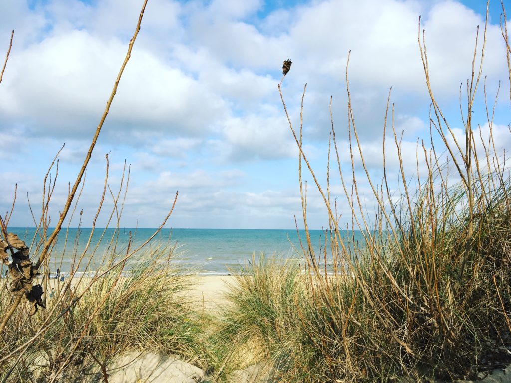 4B16D16C-5F00-4B7E-B783-25DD39D06F53