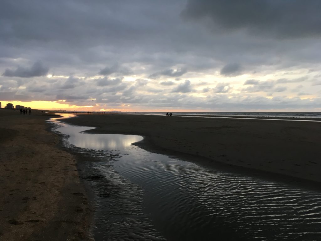 50F998F4-10B6-486C-BEBF-50742BD214D9