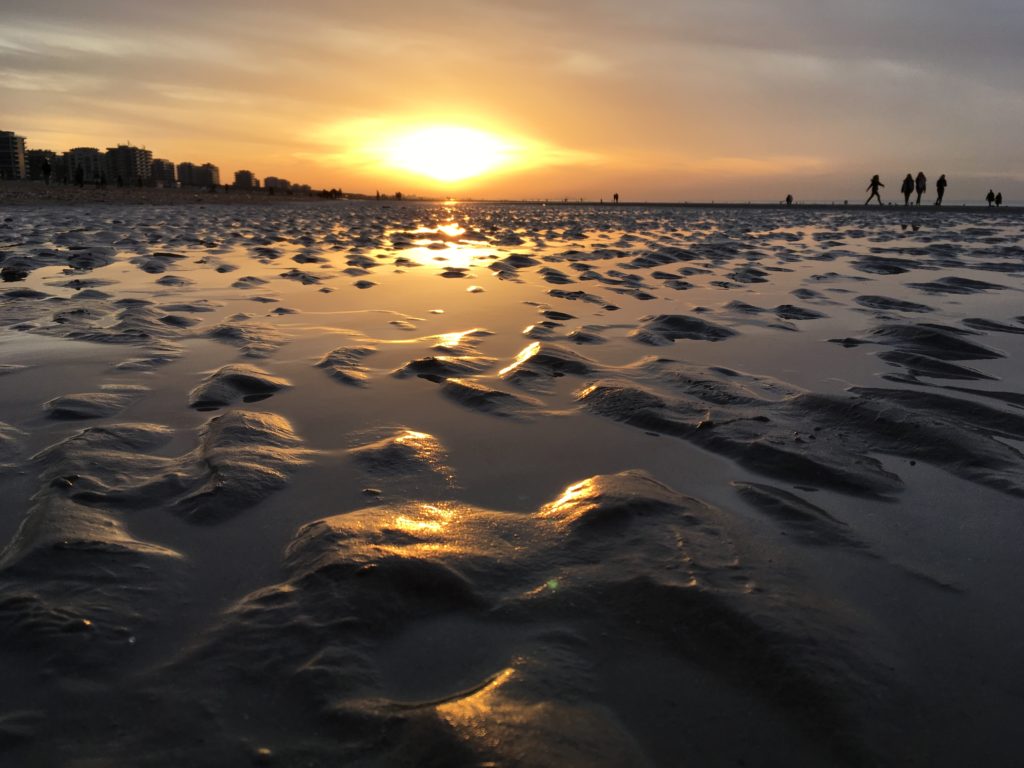 7D626E31-FA02-41E2-B6CB-9DEF3A116E55