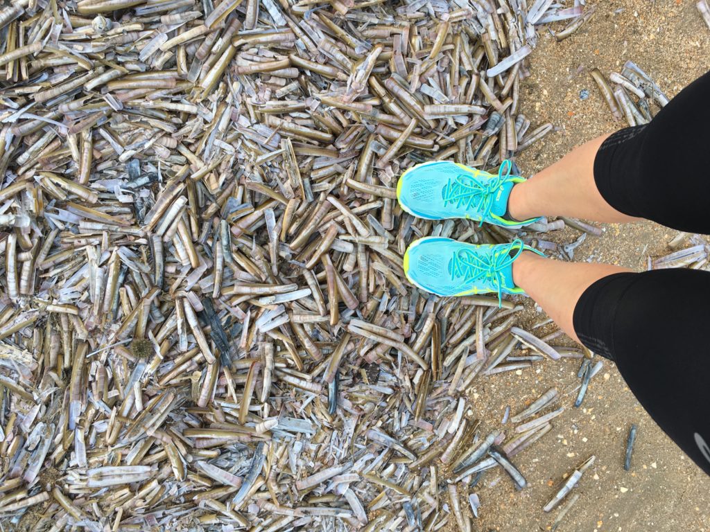 92A4F36C-0DA6-42A4-98A2-6A981186DE8D