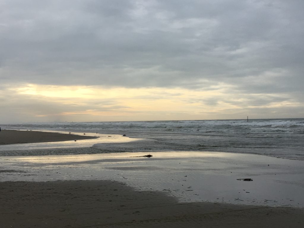 C3727A33-2C64-4058-814D-22C2C4625444