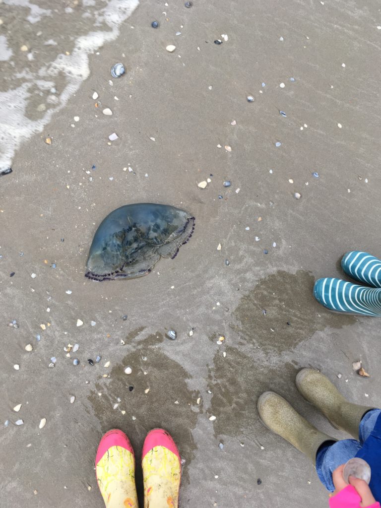 E8C977A2-1E23-44EC-9AA4-33B27DF1D4AE