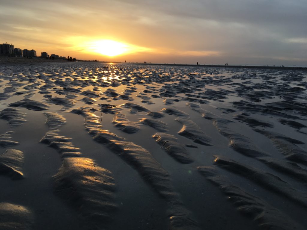 FE4D452C-3DDC-41D7-B5B5-C308798E6D22