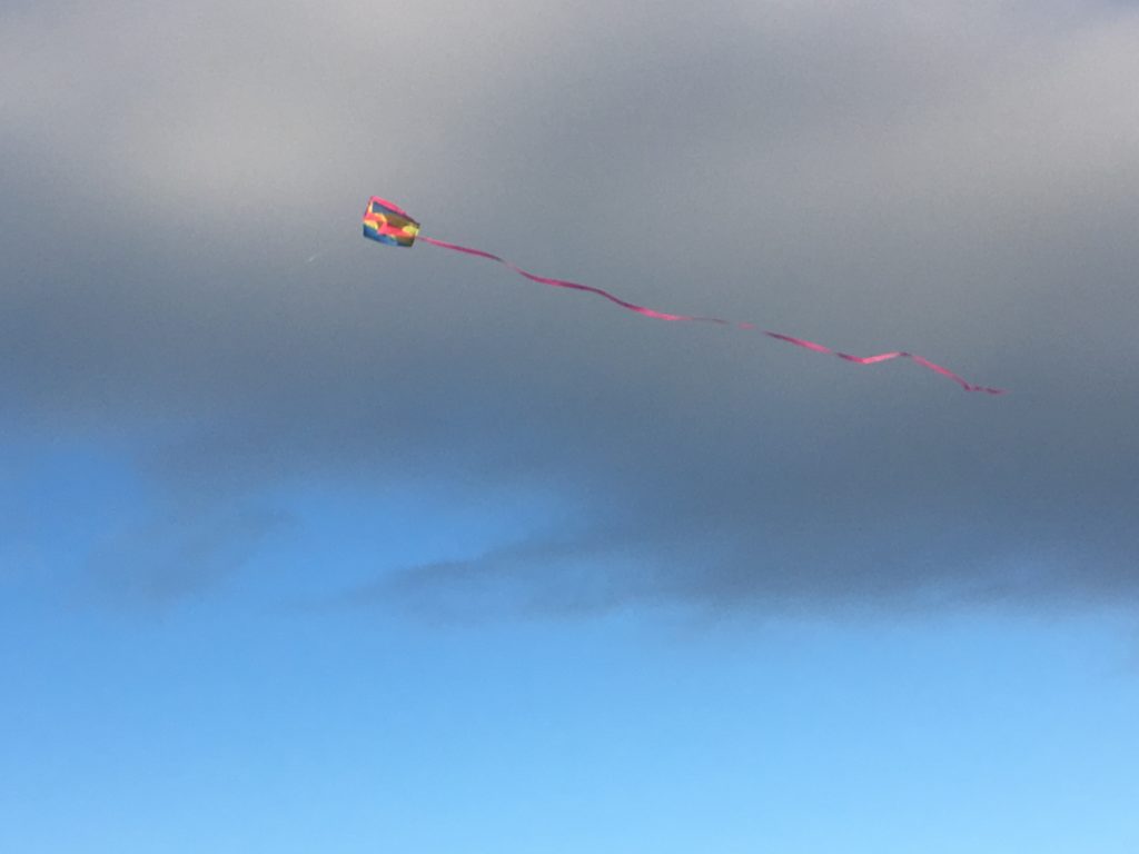 FF5399CF-5994-4084-BC20-050C60D9F12B